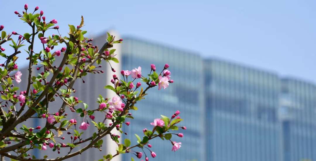 8df3fefd475bb9ecc65ee61a43ea0bd5.jpg 8df3fefd475bb9ecc65ee61a43ea0bd5.jpg