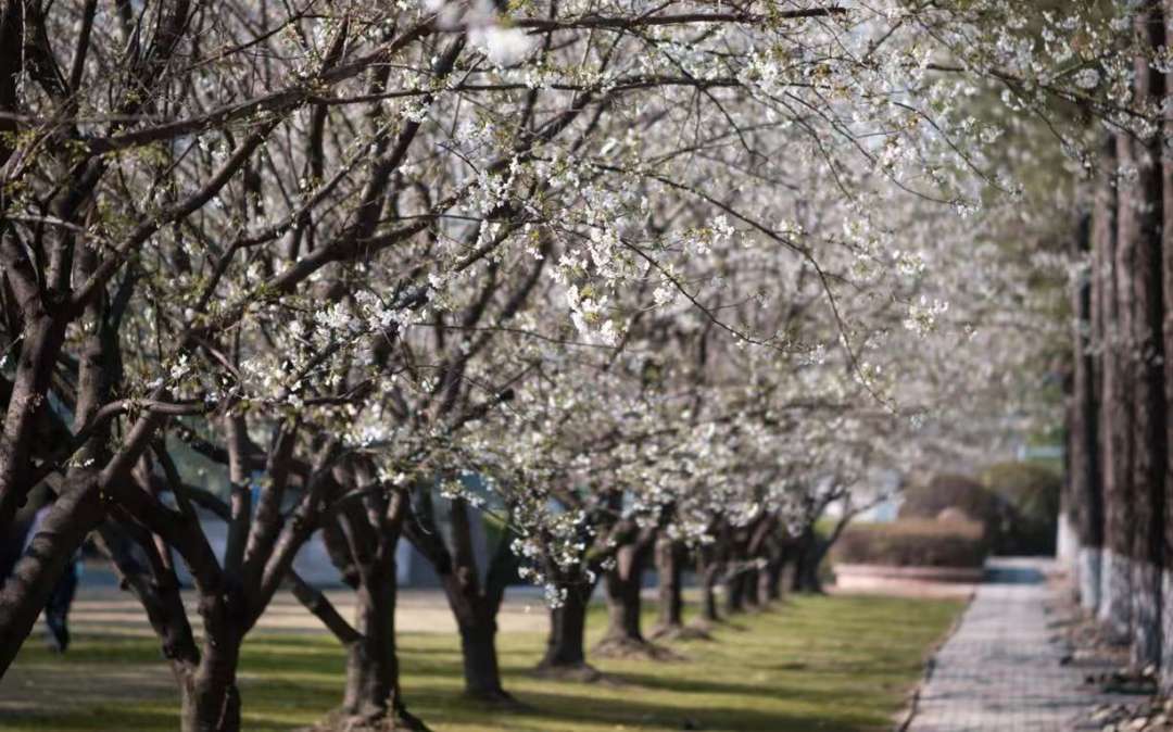 4ebb905ab7ba37c29313f9b2e9b55ebc.jpg 4ebb905ab7ba37c29313f9b2e9b55ebc.jpg