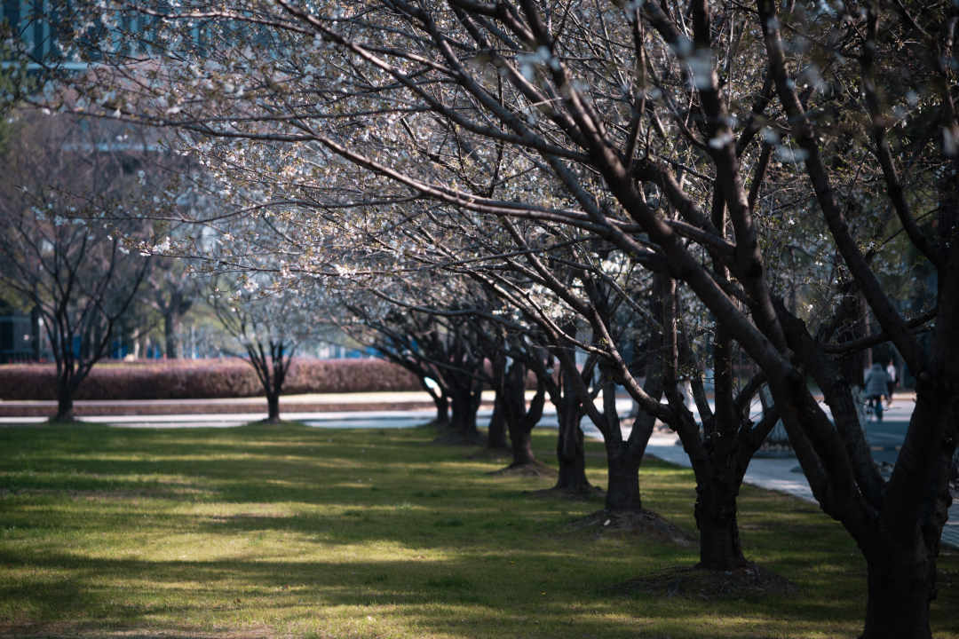 66d0a760e30452e16178d8cf6db82911.jpg 66d0a760e30452e16178d8cf6db82911.jpg